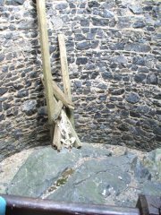 DSCF2770.JPG