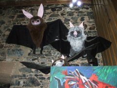 DSCF2780.JPG