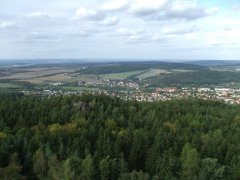 DSCF2799.JPG