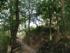 DSCF2802.JPG