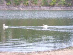 DSCF2810.JPG