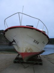 DSCF2815.JPG