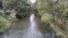 IMG_20180923_102028.jpg