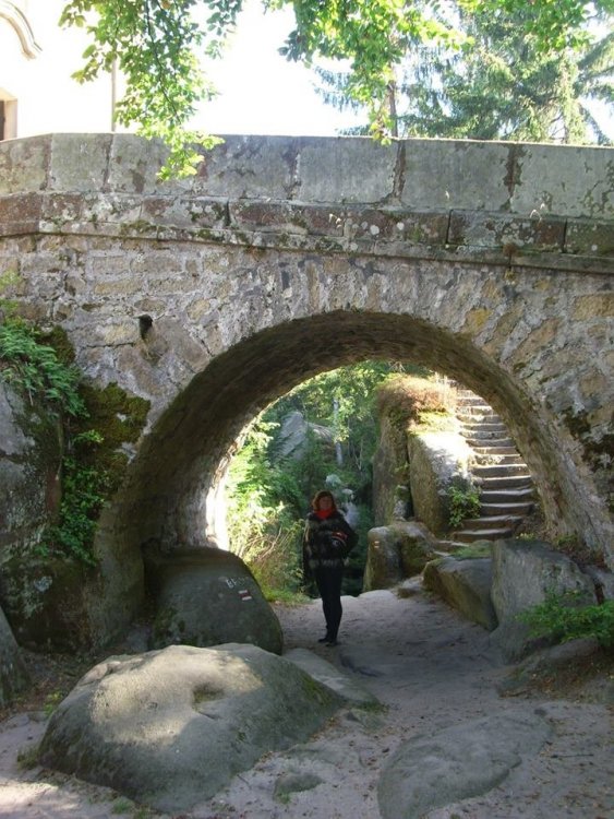 Hvězda1.jpg