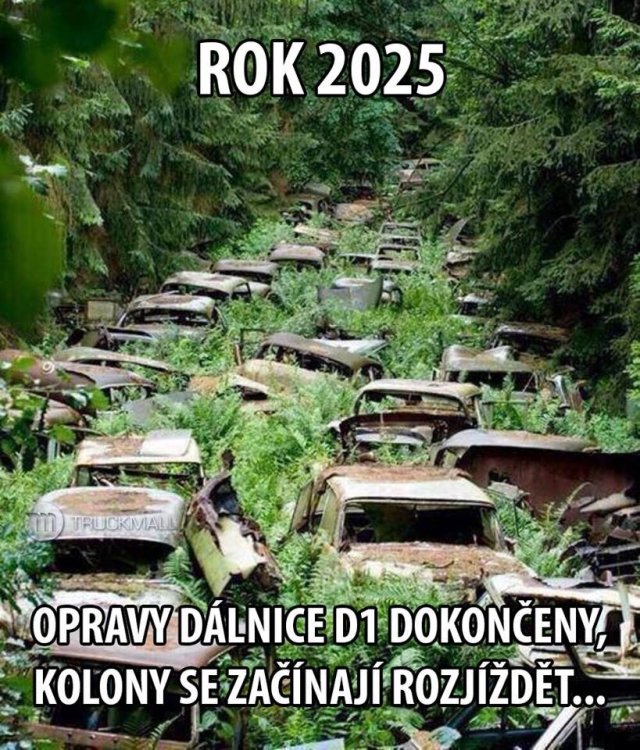 D1.jpg