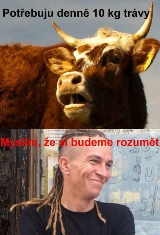 FB_IMG_1512336730651.jpg