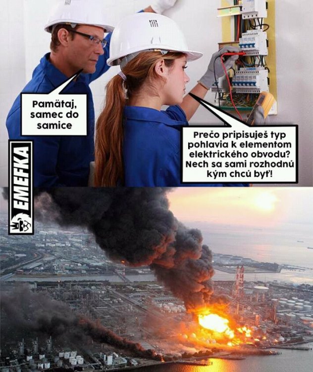 FB_IMG_15399553902233762.jpg