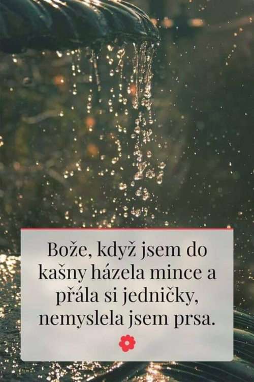 FB_IMG_15419611529241314.jpg
