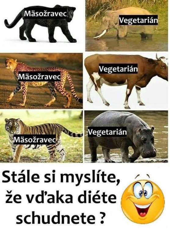 5A2B7EE8-EABB-4F22-A6E6-41B64E62DB3B.jpeg