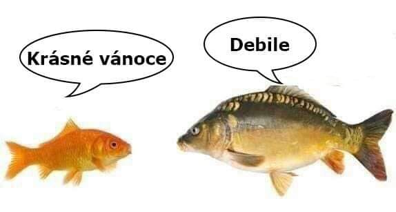 image.png.48e5e0013e57923a28c8a42c6e5ee9a9.png