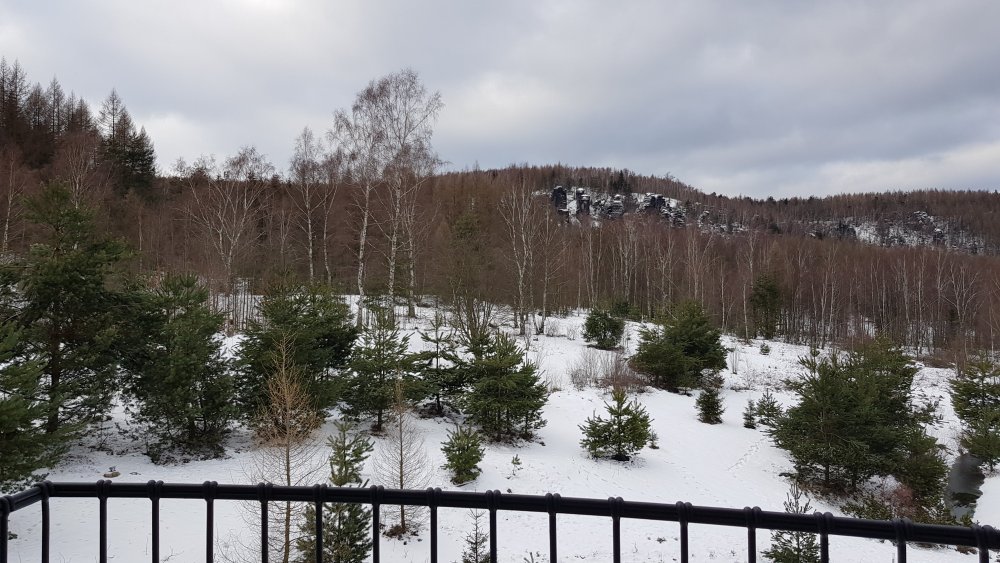 2019-01-18 14.19.15.jpg