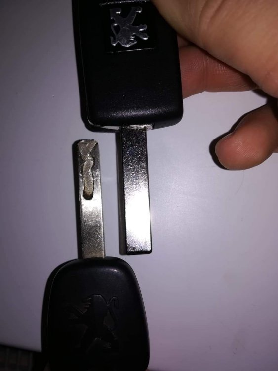 received_2082685388623076.jpeg