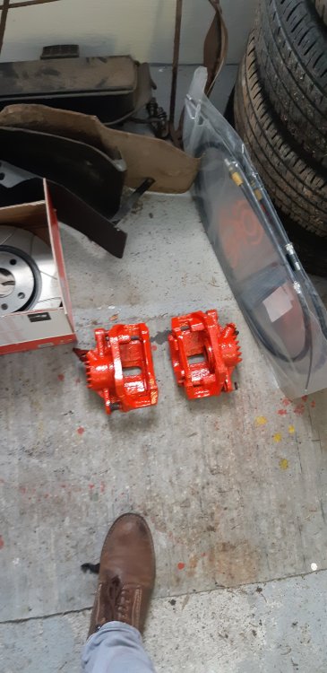 20190209_113352.jpg