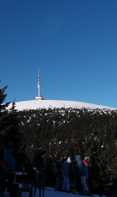 20190216_142418.jpg