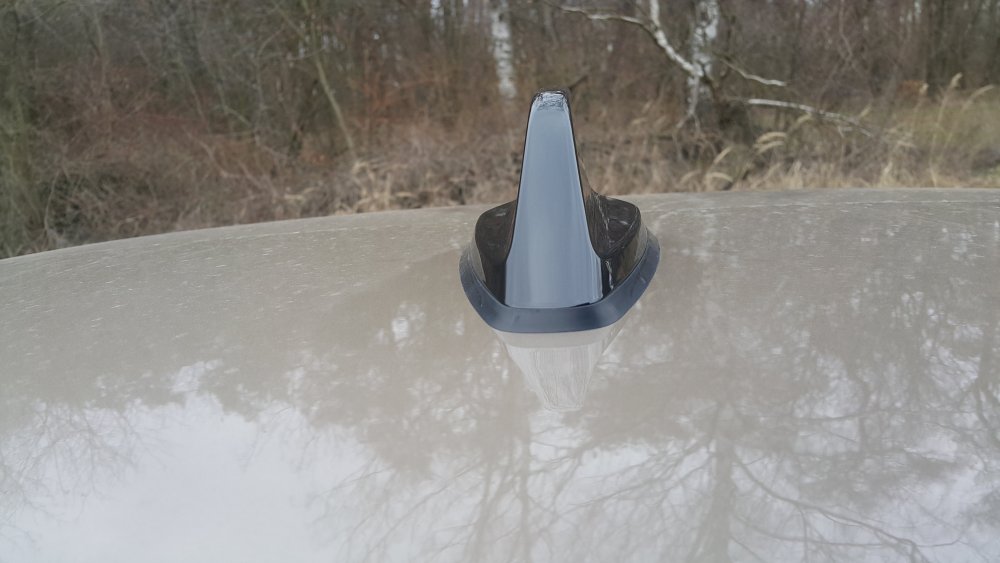 20190226_142956.jpg