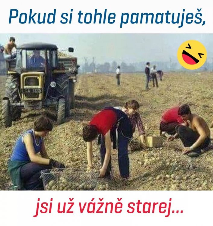 stáří.jpg