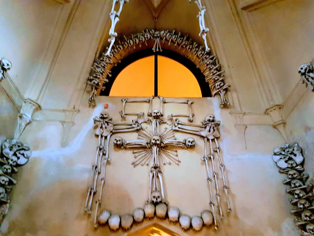 20190307_151242-EFFECTS.jpg