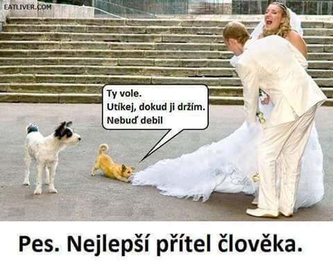 Svatba2.jpg