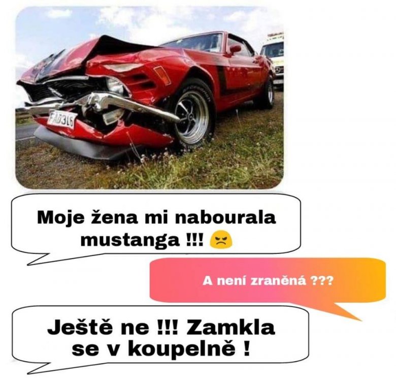 mustang.jpg