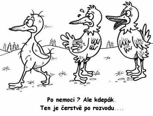 rozvod.jpg