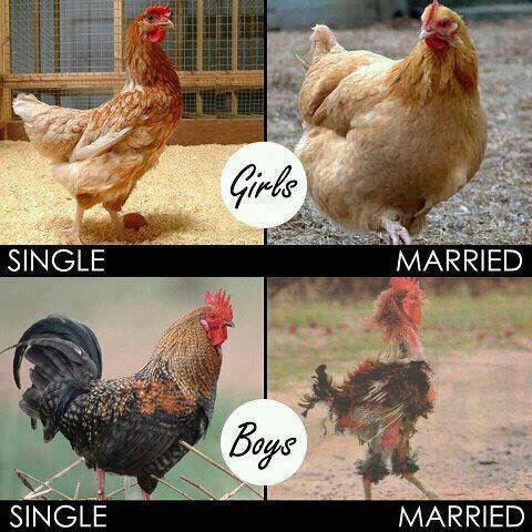 single.jpg