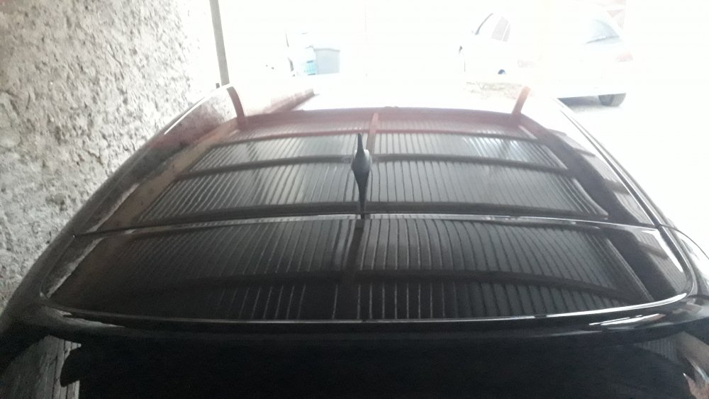 20190428_195546.jpg