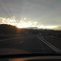 Pavla73