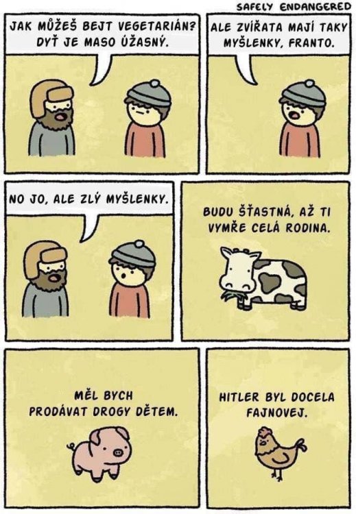 WhatsApp_Image_2019-03-30_at_11.19.09.jpeg