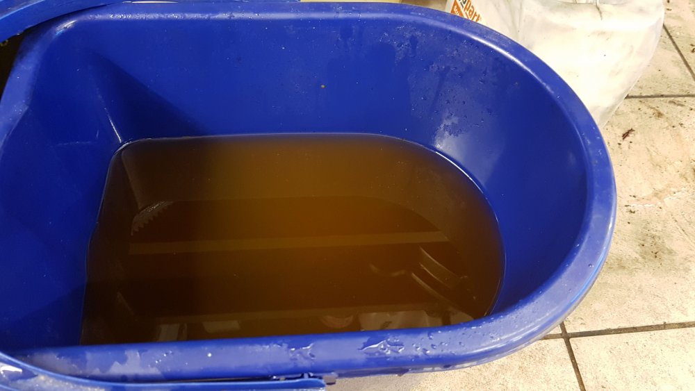 IMG-20190502-WA0006.thumb.jpeg.aad997f1568b3537bb8e6ffc3d18aaa8.jpeg