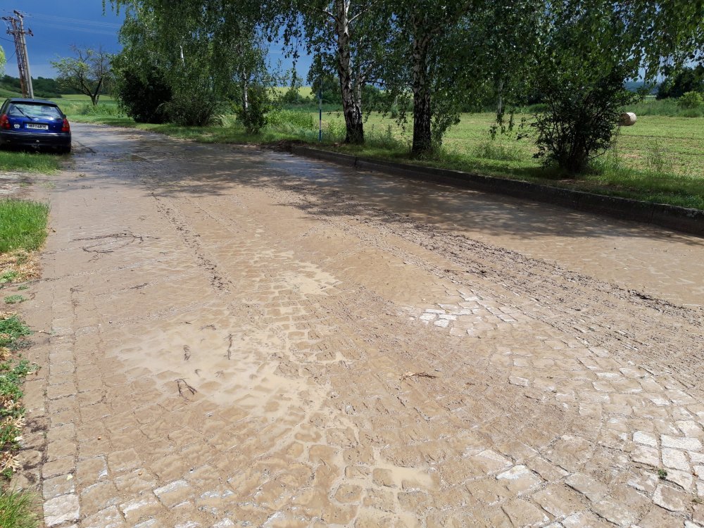 20190616_122921.jpg