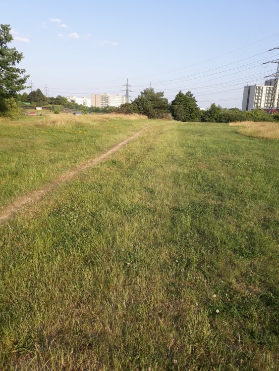 20190626_190709.jpg