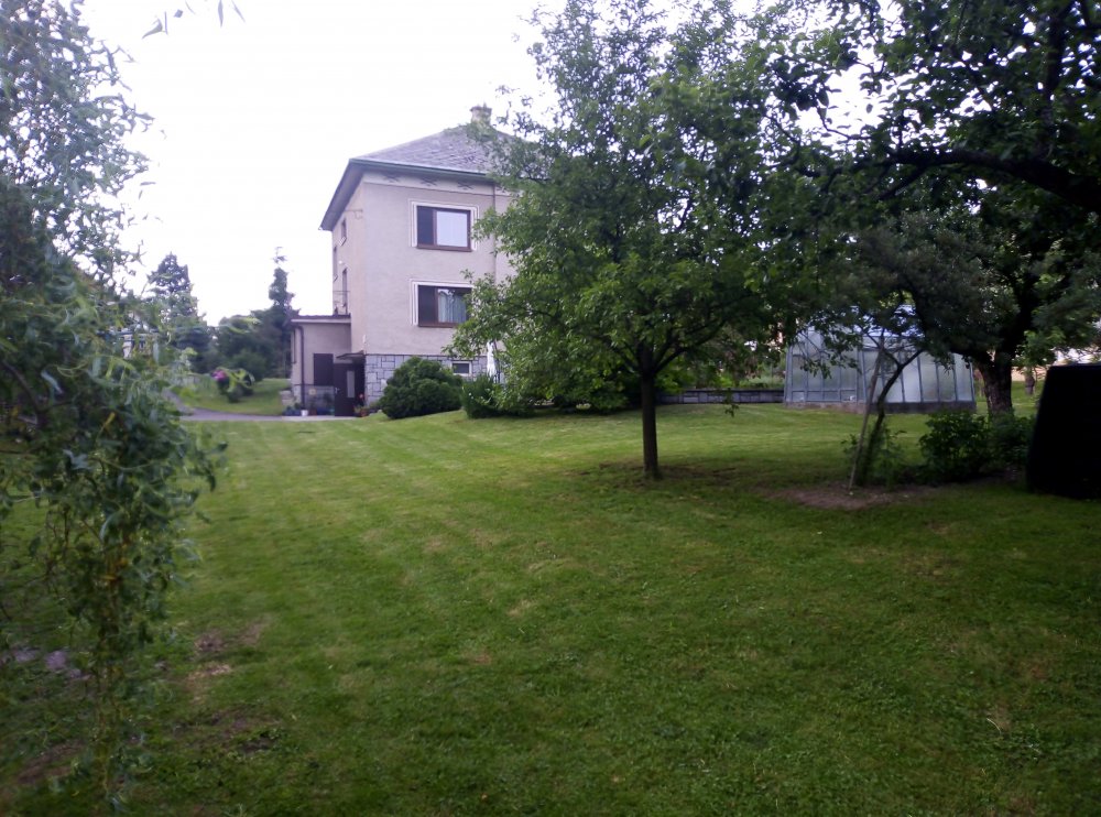 IMG_20190618_184930.jpg