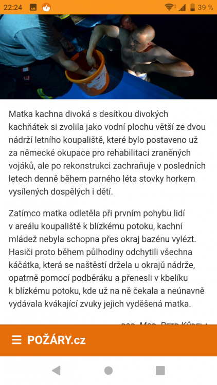 Screenshot_20190628-222419.png