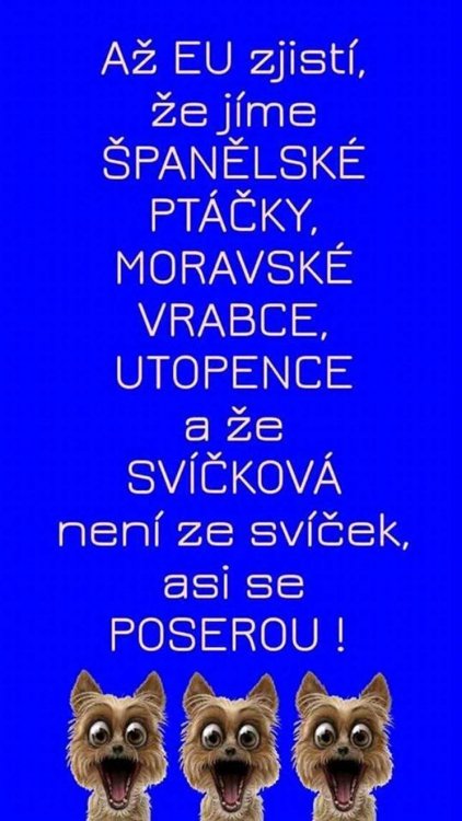 EU.jpg