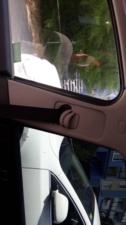 IMG-20190701-WA0002.jpeg
