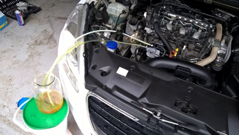 WP_20190731_17_17_48_Pro.jpg