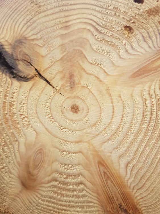 20190821_123019.jpg