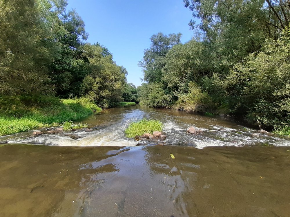 20190823_143745.jpg