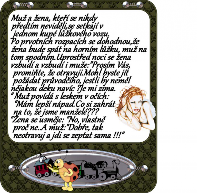 ve vlaku.png