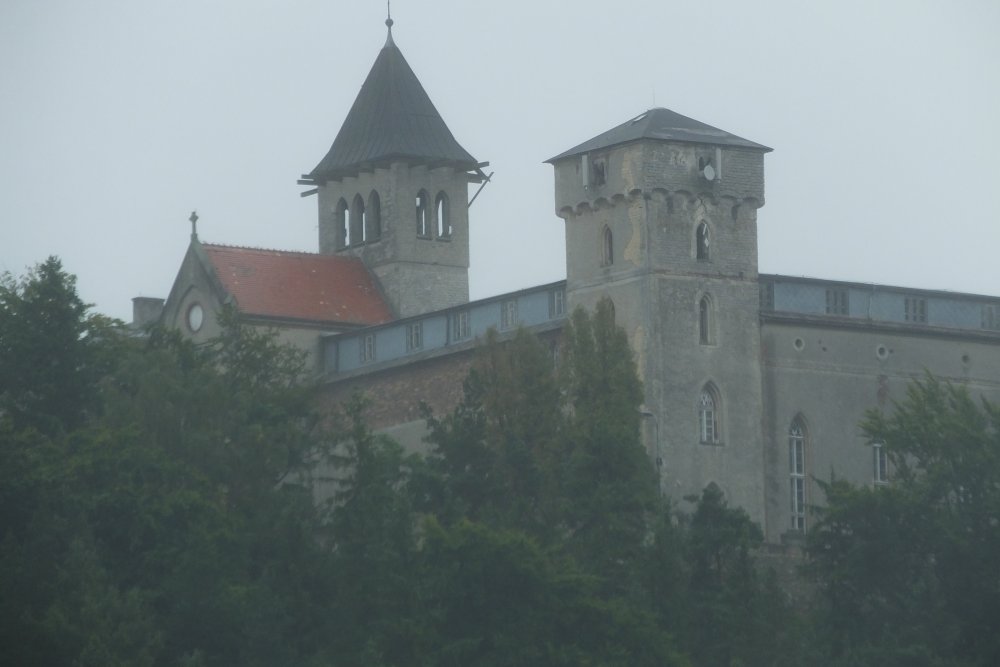 DSCF7443.JPG