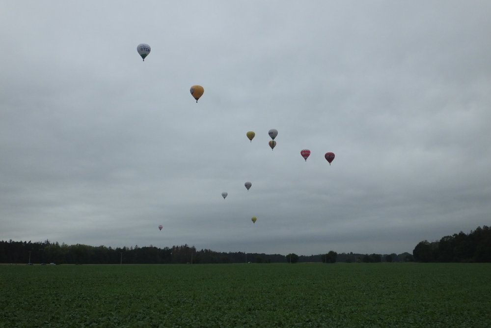 DSCF7544.JPG