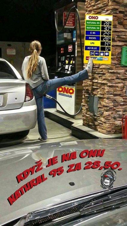 FB_IMG_15674996786020882.jpg
