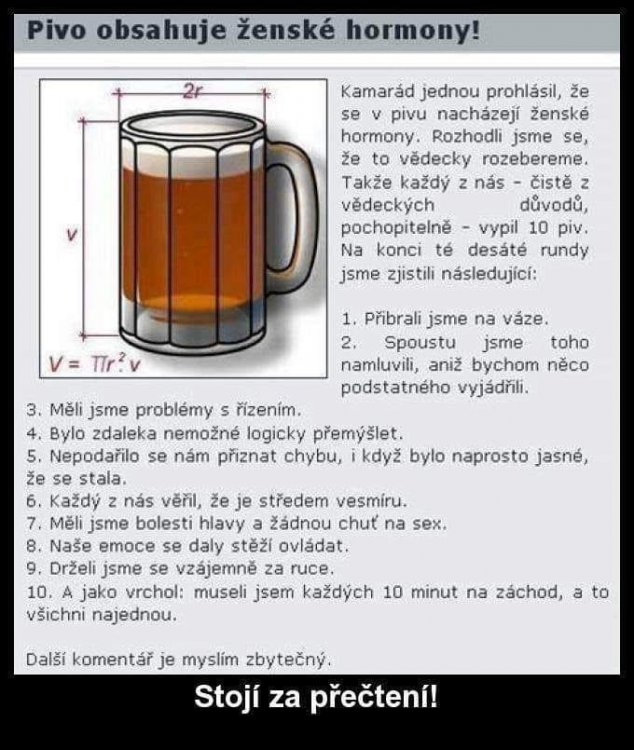 pivo.jpg