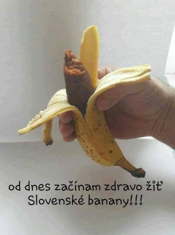 72237538_2437401179682847_6202202263146987520_n.jpg