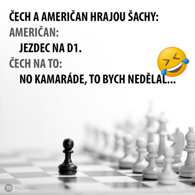 sachy.png