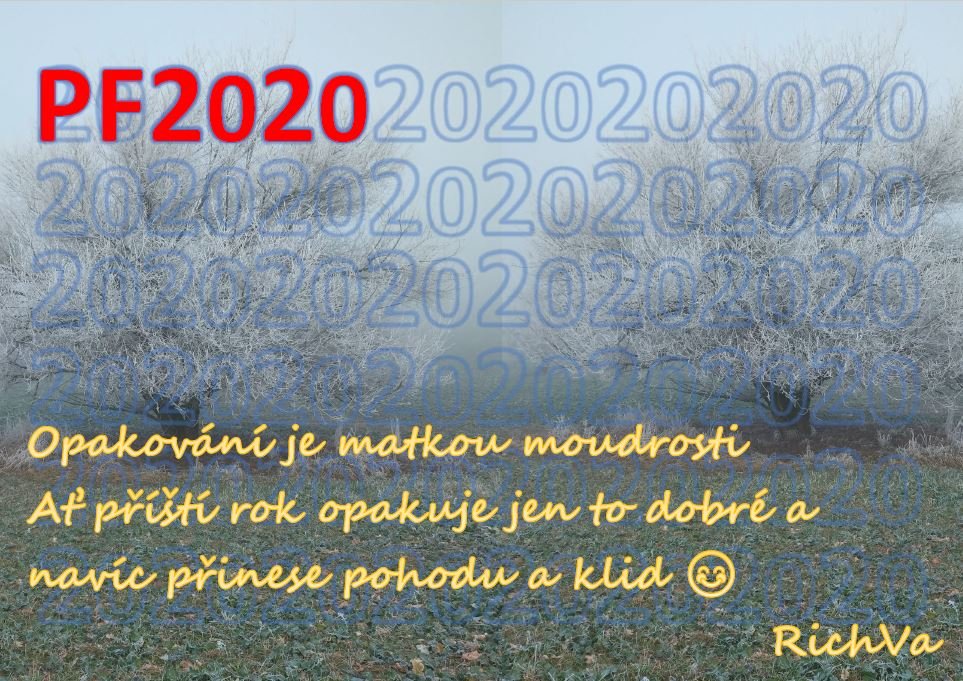 pf2020RichVa.JPG.43fce9af2b42bea652c5ac7935ce10ba.JPG