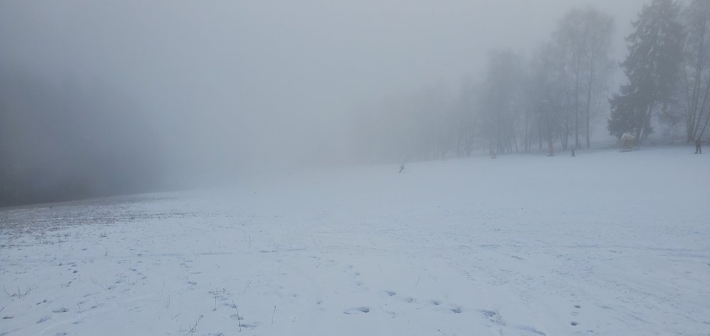 2020-01-19 10.03.20.jpg
