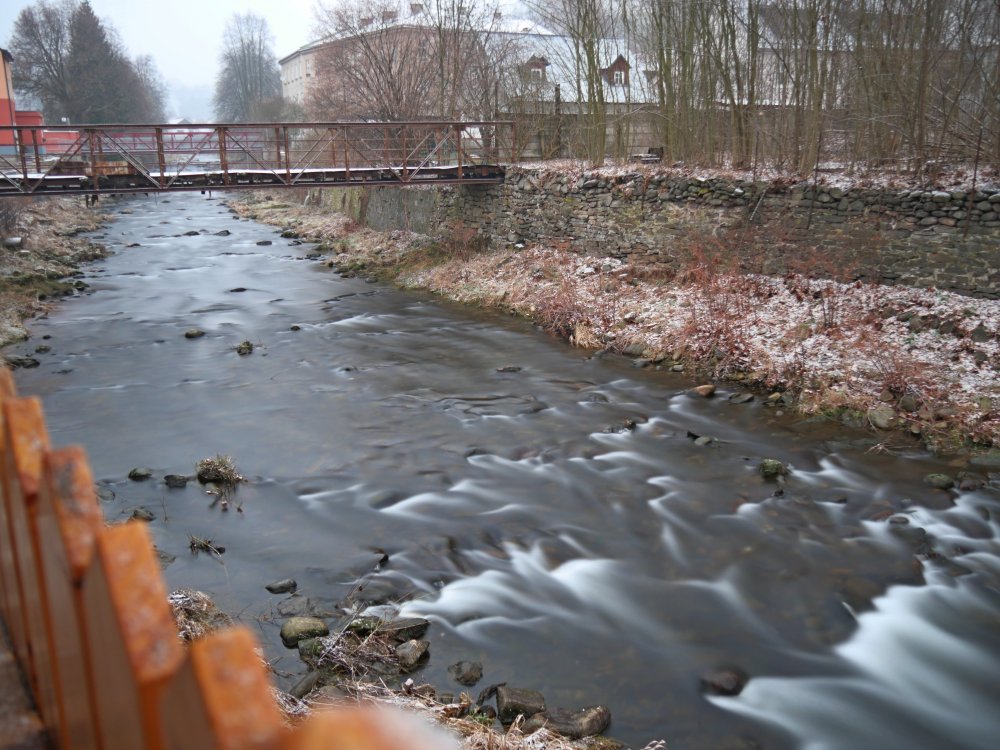 P1000790.JPG