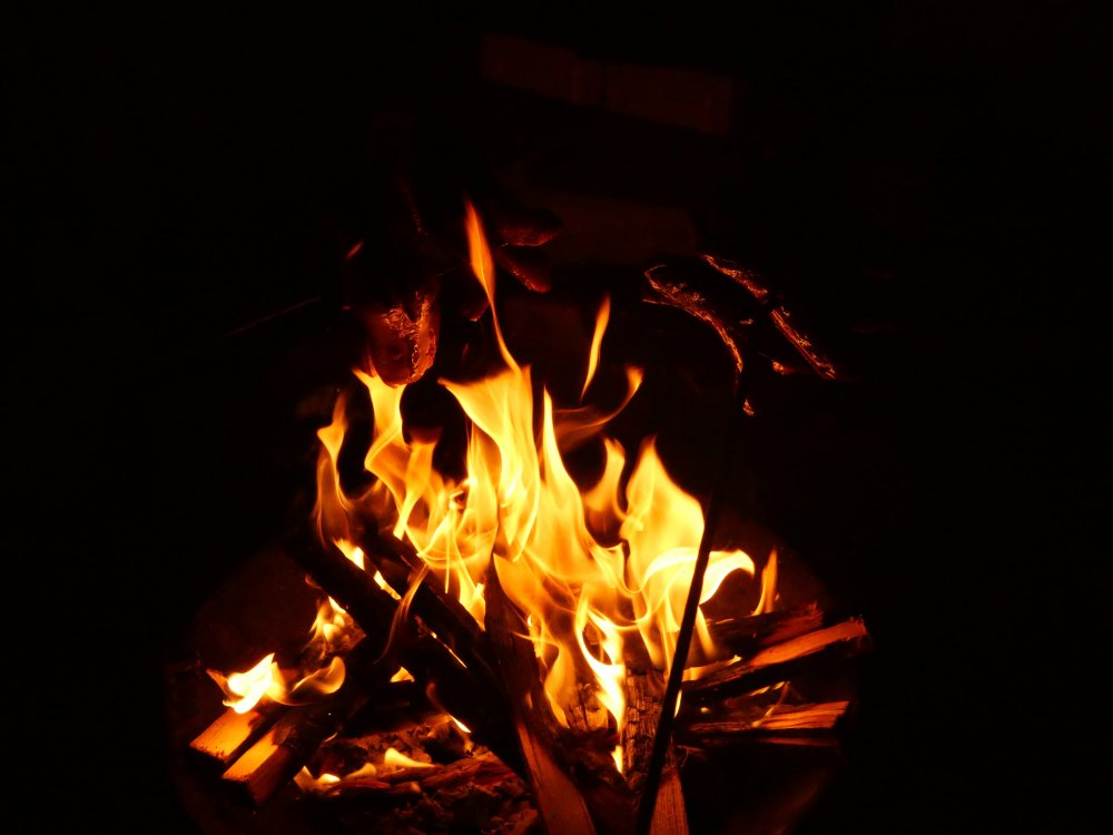 P1001076.JPG