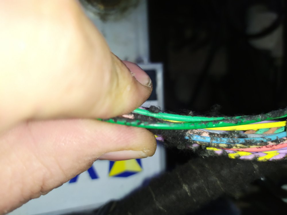 1.thumb.jpg.69943addb1e8b9744e9f287d95a8bbdc.jpg